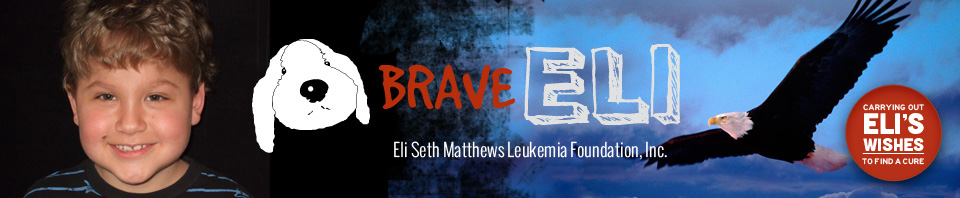 Eli Seth Matthews Leukemia Foundation